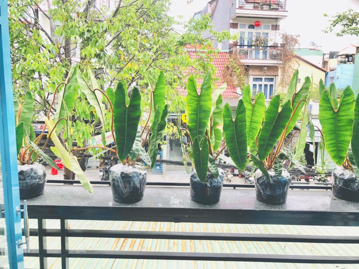 An'S Family Homestay Hoi An - 5Mins Walk To Hoi An Ancient Town Luaran gambar